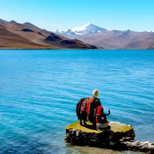 Yamdrok Lake near Gyantse in Tibet with a yak grazing beside the turquoise sacred lake and Himalayan mountains.