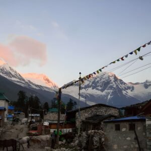 Mount Manaslu from Shayalagaun. Early morning View with prayers flags.