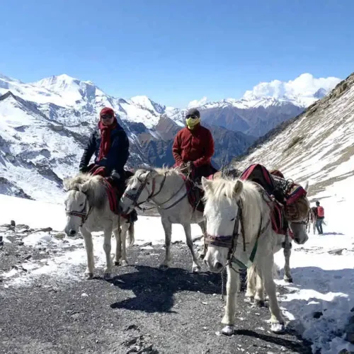Upper Dolpo Trek Nepal